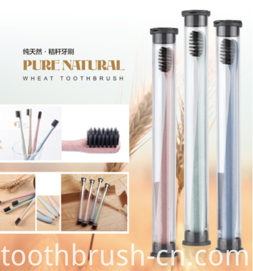 Eco-Friendly Biodegradable Wheat Straw Toothbrush Eco-Friendly Biodegradable Wheat Straw Toothbrush